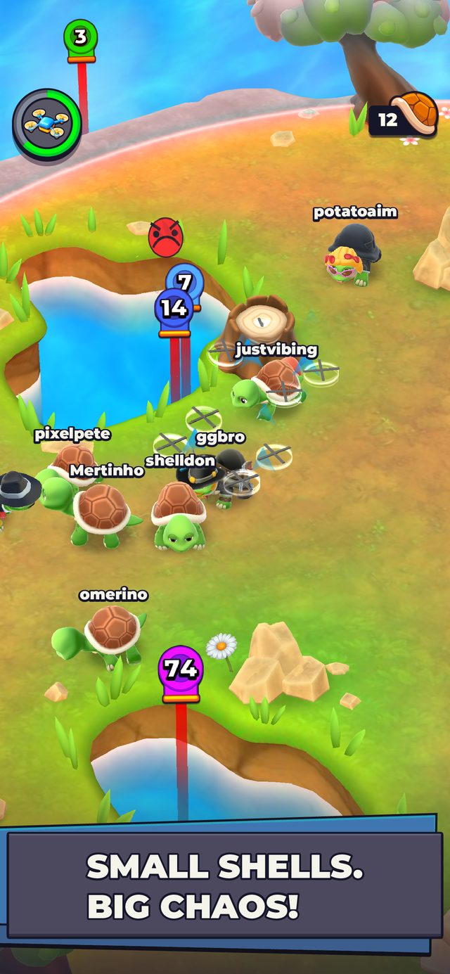 Bumper Turtle screenshot