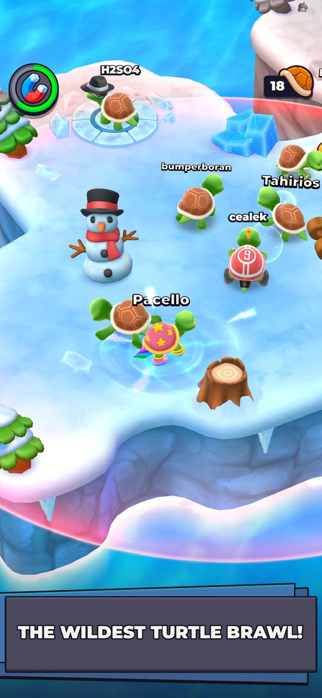 Bumper Turtle screenshot